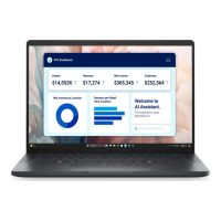 Dell Pro 13 Premium PA13250/Ultra 7 266V/Copilot+/16GB/Cant Upg/512GB SSD Gen4/13.3” FHD+/Arc/FgrPr/Cams & Mic/WLAN + BT/Backlit Kb/5G/3 Cell/W11Pro/vPro/3Y ProSpt