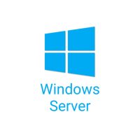 50 pack of Windows Server 2025/2022 User CALs (STD or DC) Cus Kit